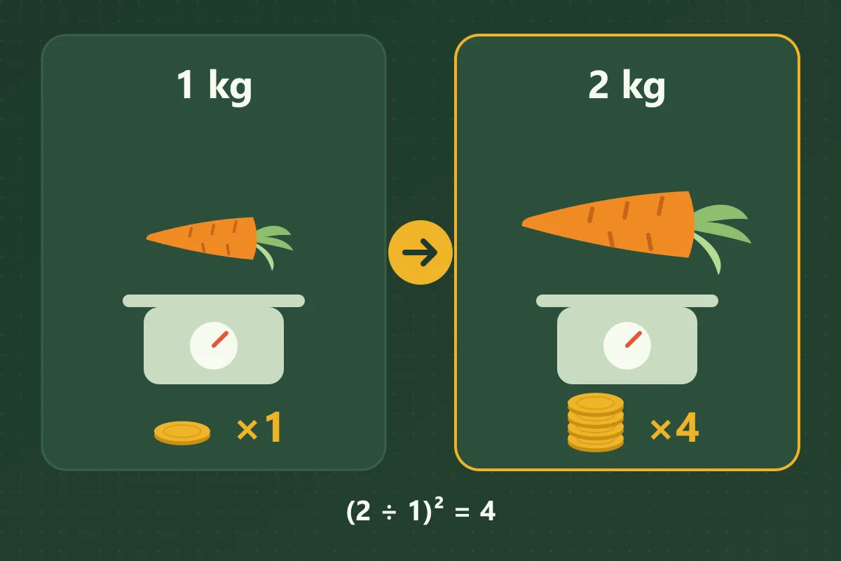 A 1 kg carrot on a scale earns one coin at ×1, while a 2 kg carrot earns a stack of four coins at ×4 because (2 ÷ 1)² equals 4