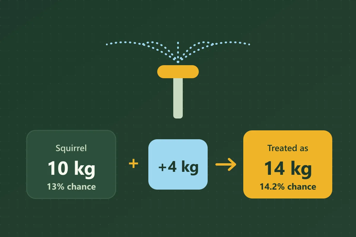 A sprinkler above three cards: a 10 kg Squirrel with a 13% chance, plus 4 kg, treated as 14 kg with a 14.2% chance