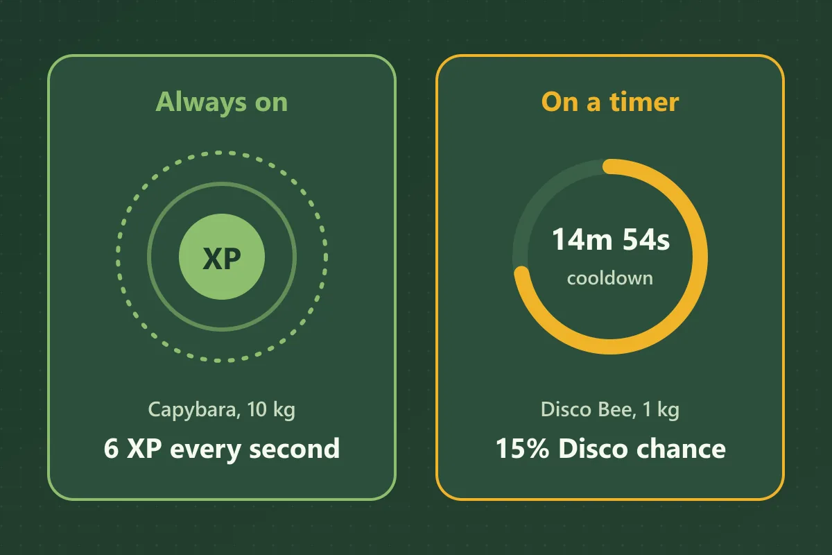 Two cards compared: an always-on aura for a 10 kg Capybara giving 6 XP every second, and a timer ring for a 1 kg Disco Bee with a 14m 54s cooldown and a 15% Disco chance